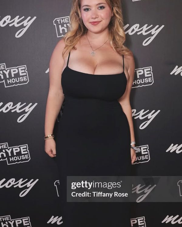 Harley Stein
